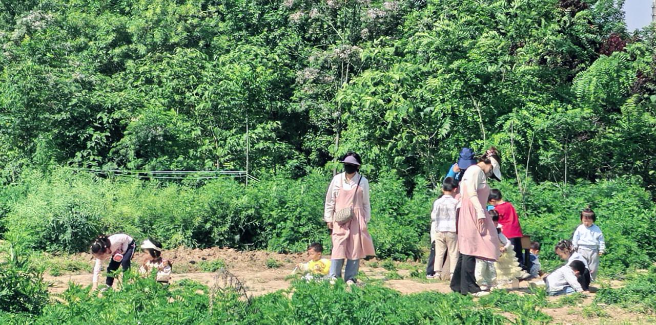 稚嫩的小手刨开新泥 ，触摸的是生命最初的纹理，自然从不用言语说教，却让每双触碰土