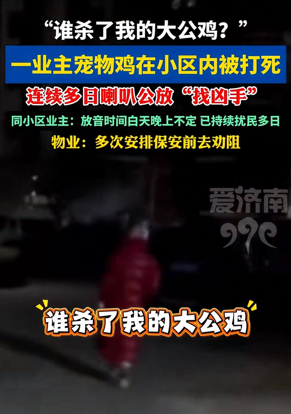 宠物鸡被打死业主连日喇叭公放追凶有没有可能，散养的鸡是被散养的猫给咬死了啊，建议