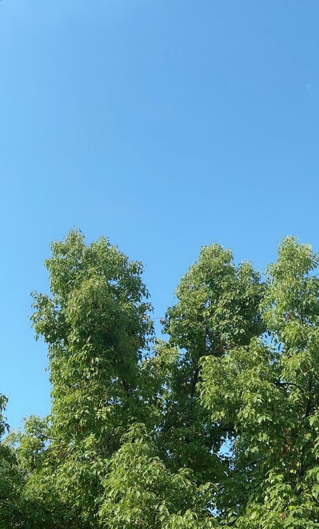 我的今日状态：😁轻松愉快
我这里的天气：🌈雨过天晴