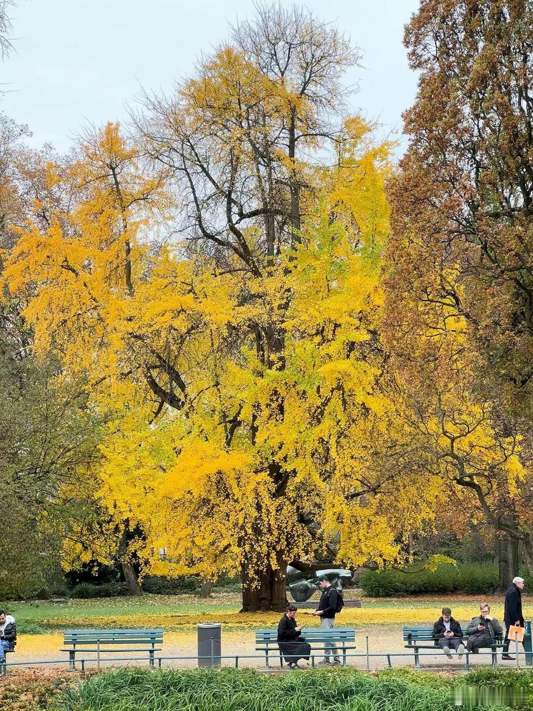大大方方地做自己保持热情和乐观向上去感受 去观察 去沉淀慢慢沉淀出底气生活也会悄