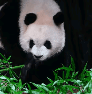 奇三妹为什么总是喜欢闻自己的小jiojio呢？我已经不记得summer这是第几次