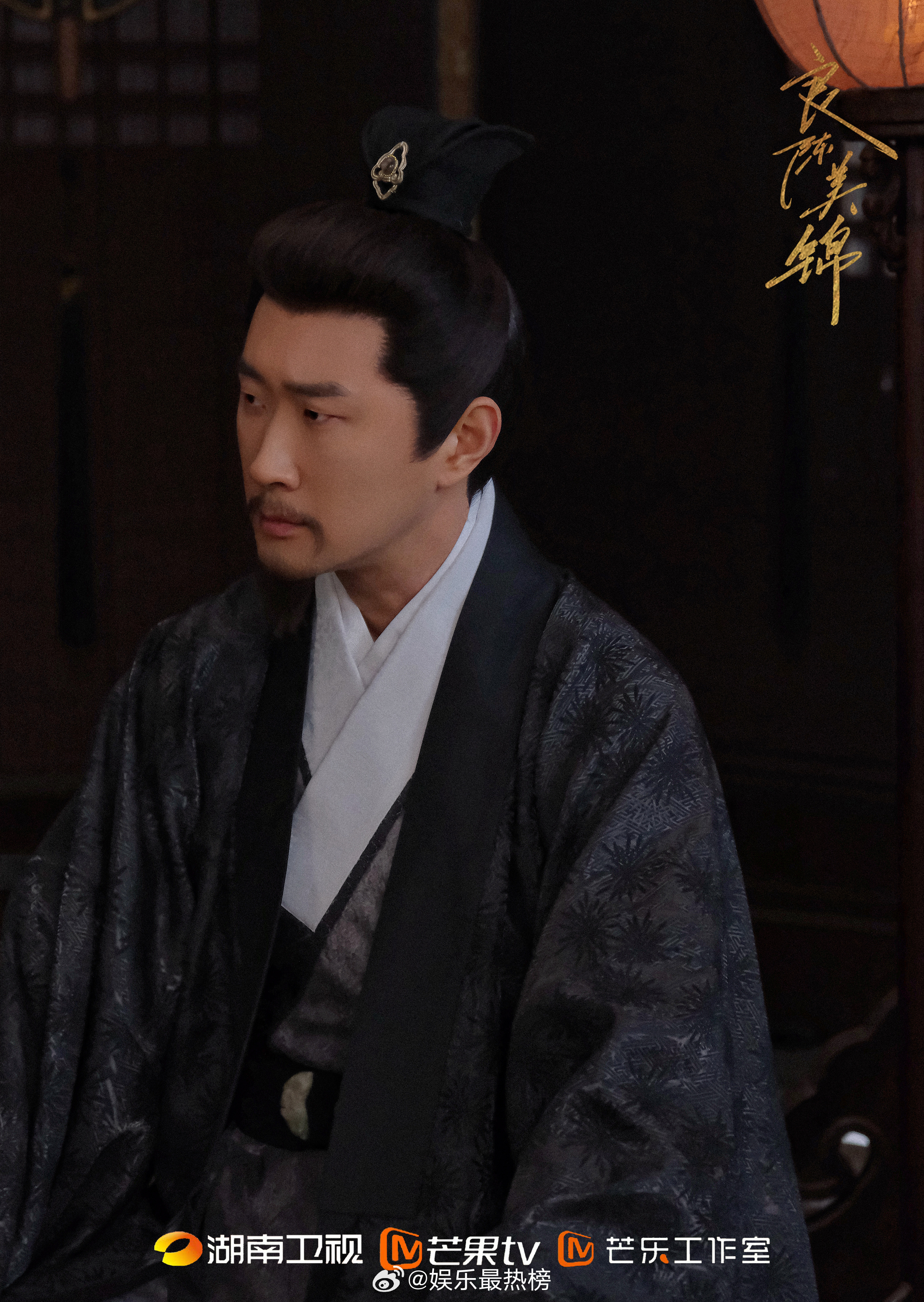 良陈美锦 《良陈美锦》湖南卫视、芒果TV热播，黄吉演绎姚平成权谋亮点 2026年