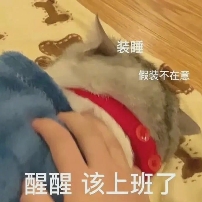 表情包，等你领！ #表情包# ​​​