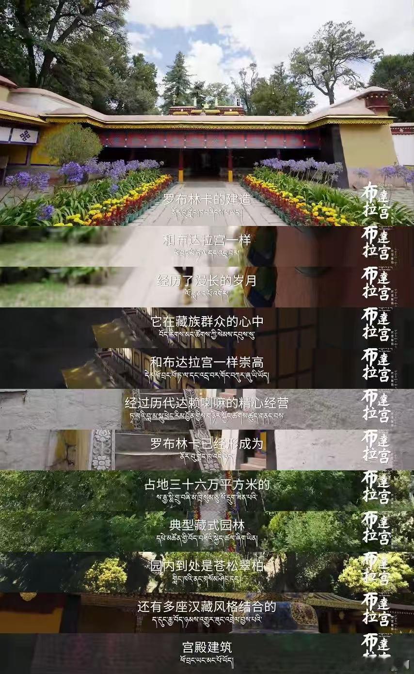 罗云熙文化输出从从容容游刃有余 从第一集刷到第七集根本停不下来！罗云熙的旁白温润