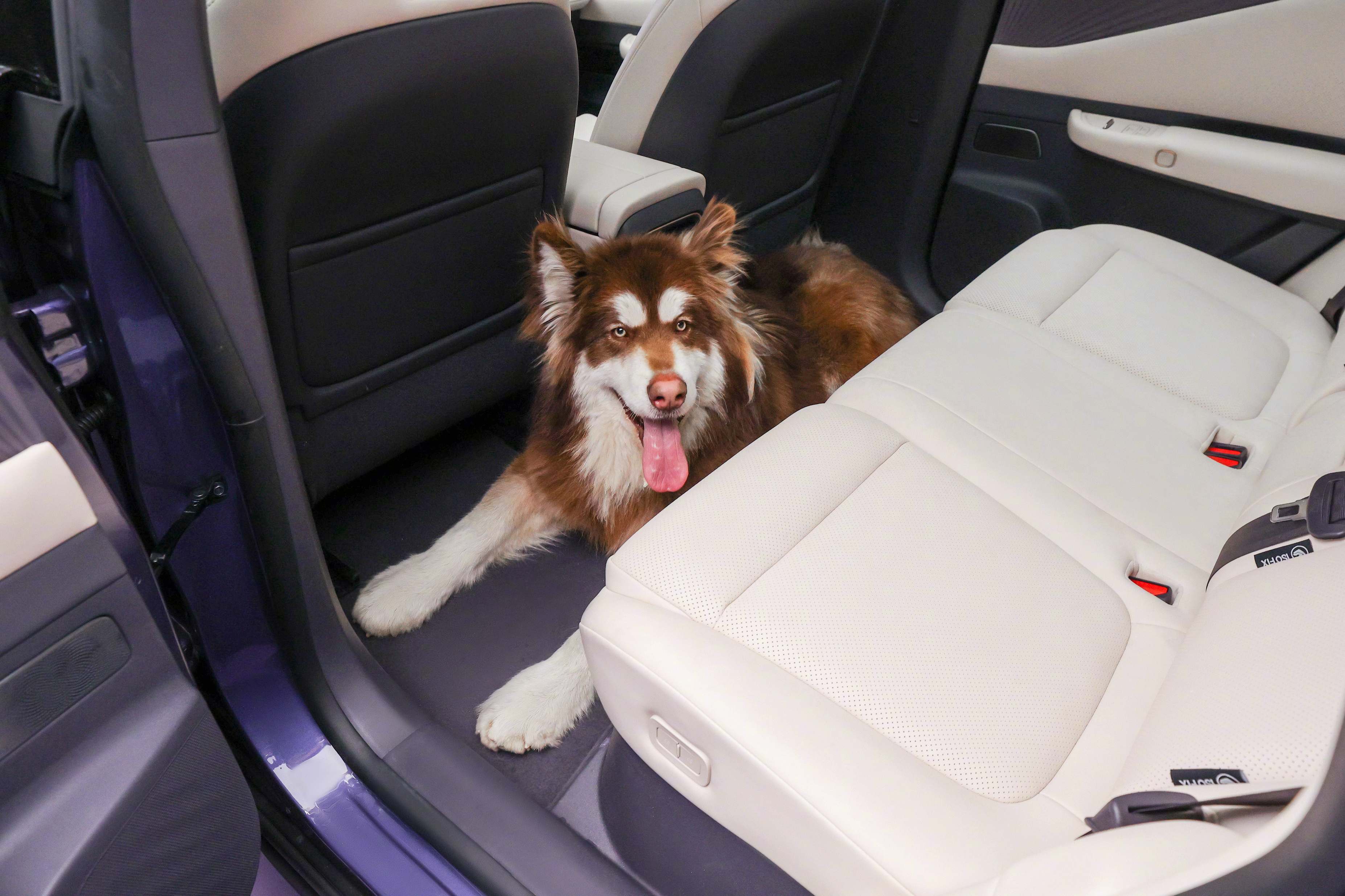 NX8顶流空间百试可乐当别人还在说空间够用，NX8直接把空间玩成了行为艺术——后