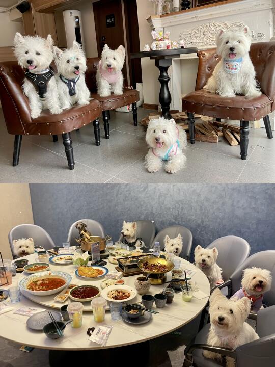 西瓜地的生日会！分享2️⃣个可以过生日的地方