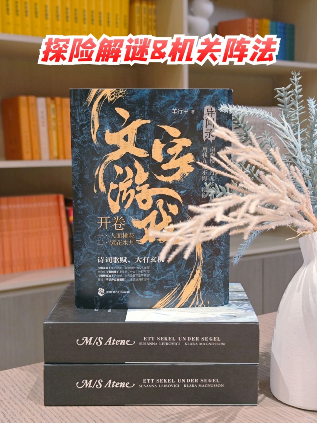 迷雾重重的悬疑冒险小说，拿起来就放不下～