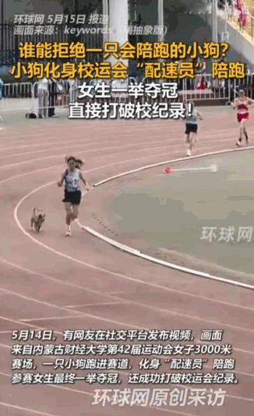 “谁能拒绝一只会陪跑的小狗？”据媒体5月15日报道，内蒙古财经大学，一只小狗不仅