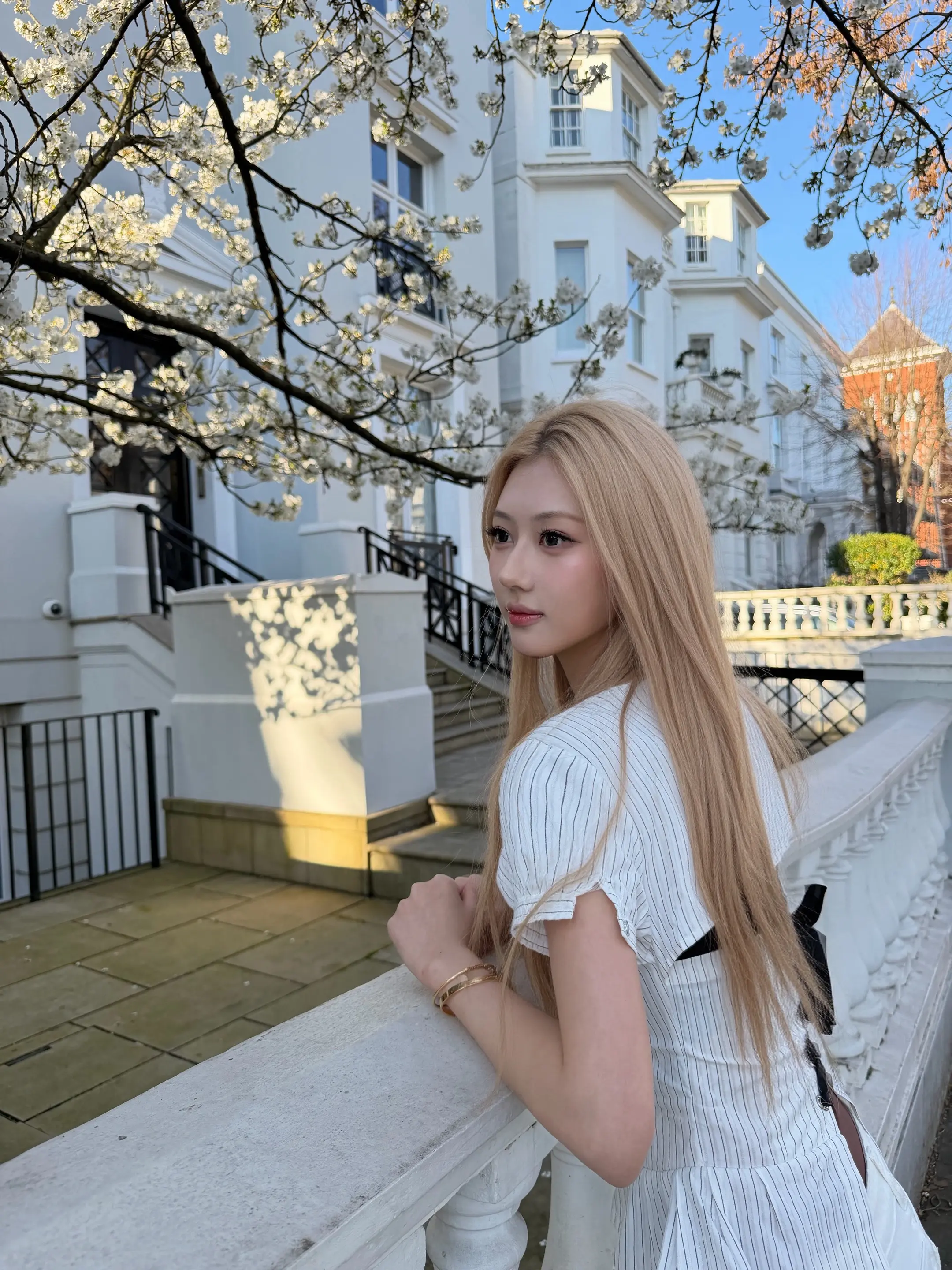 樱花开了🌸