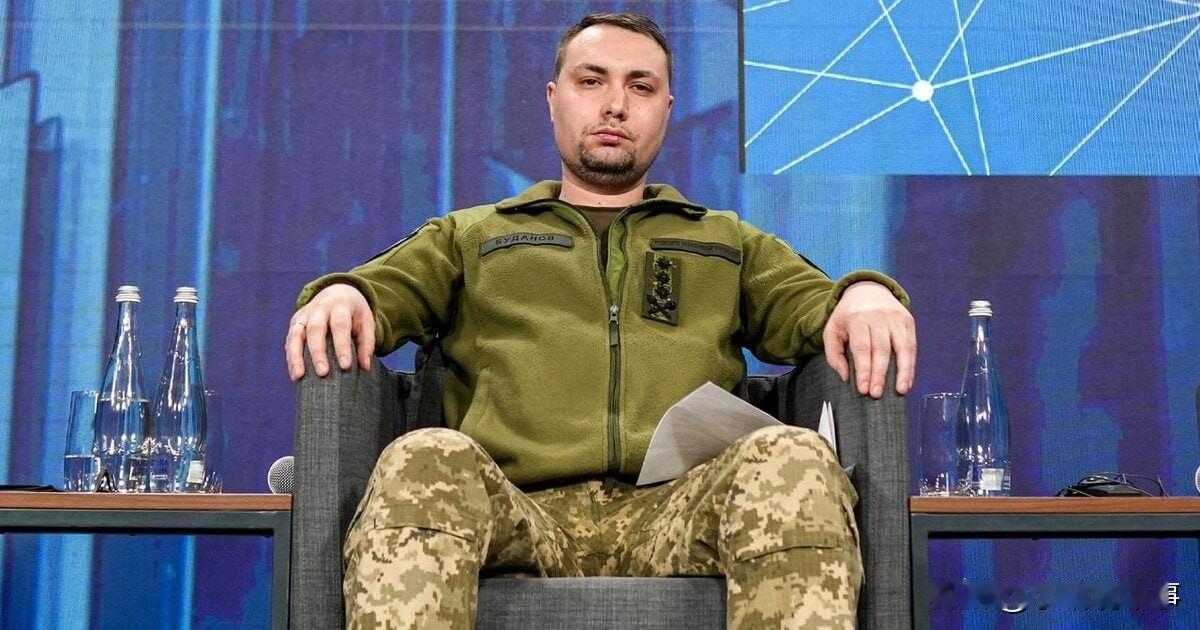 昨天，乌克兰政府进行以下人事调整：

1.现任乌克兰国防情报局局长布达诺夫（图一