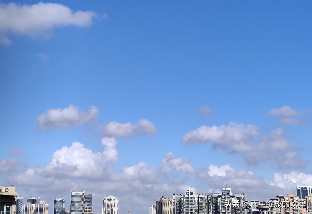 上海的秋老虎真是黏人，前几日降温的舒坦劲儿还没享够，33、34℃的热浪又卷了回来