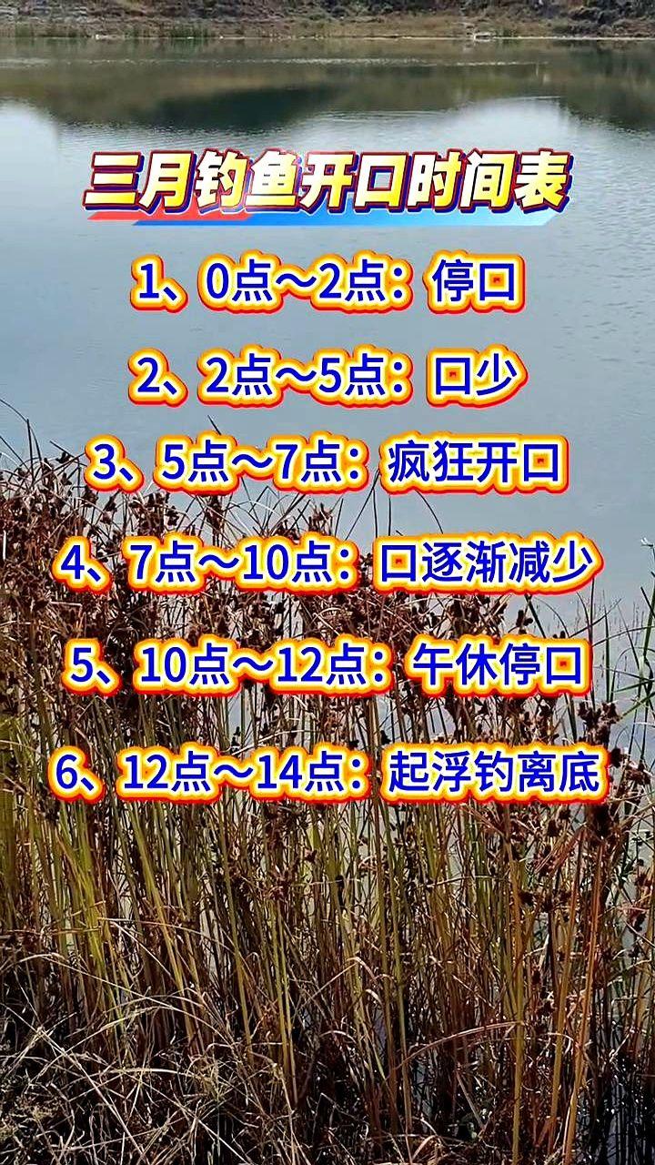 三月钓鱼，记住5点到7点！就这两个小时，鱼都疯了。

真不是吹，那会儿水温刚上来