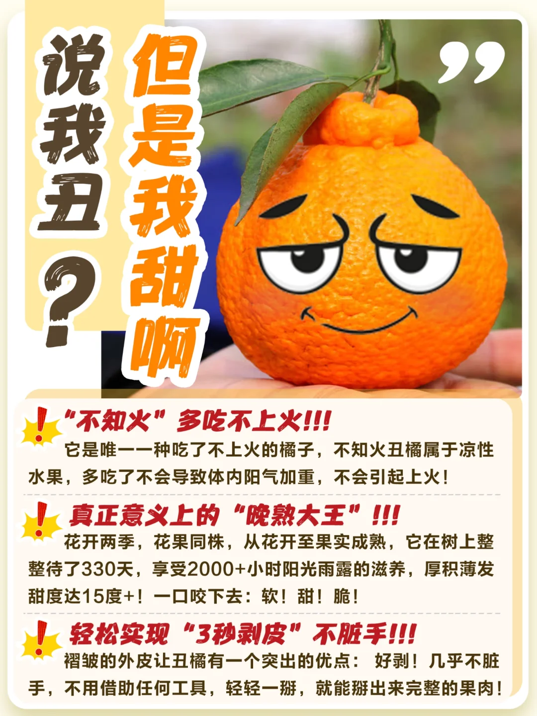 挑水果技巧🍊|买丑橘要挑“母的”❓
