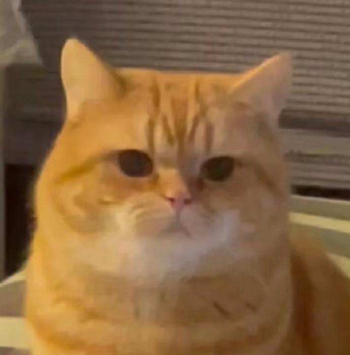 ​