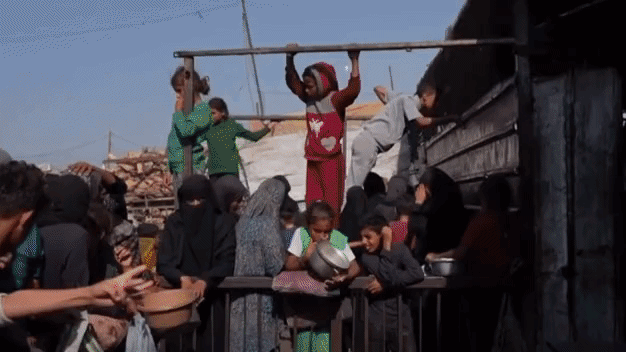 这个世界是如此慷慨，他用阳光、空气和水滋养了每一种生命形态；这个世界为何又设计了