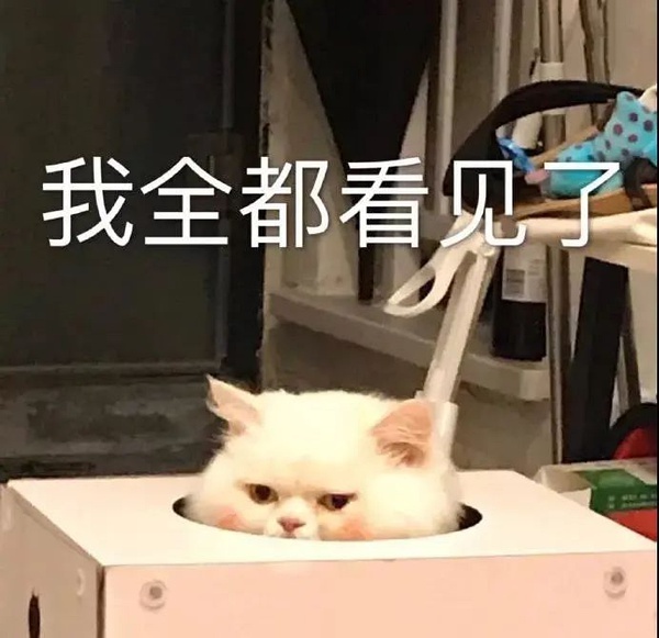 那个投票我一直在投（主页可查）但是我必须要解释一下：我们去年也投了，但是去年职能
