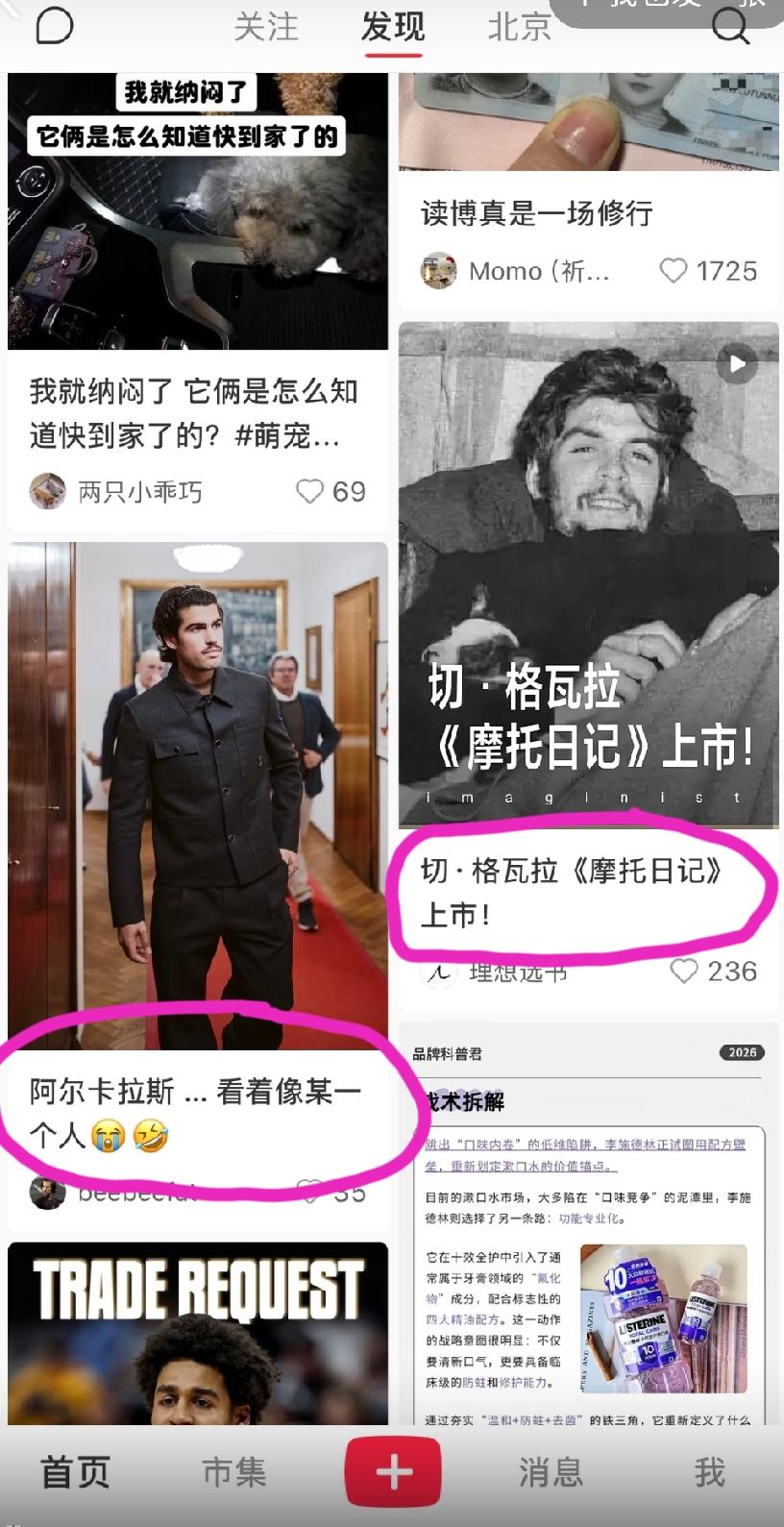 小某书的排版，我也是服了！
左边:阿尔卡拉斯……看着像某一个人
右边:切-gwl