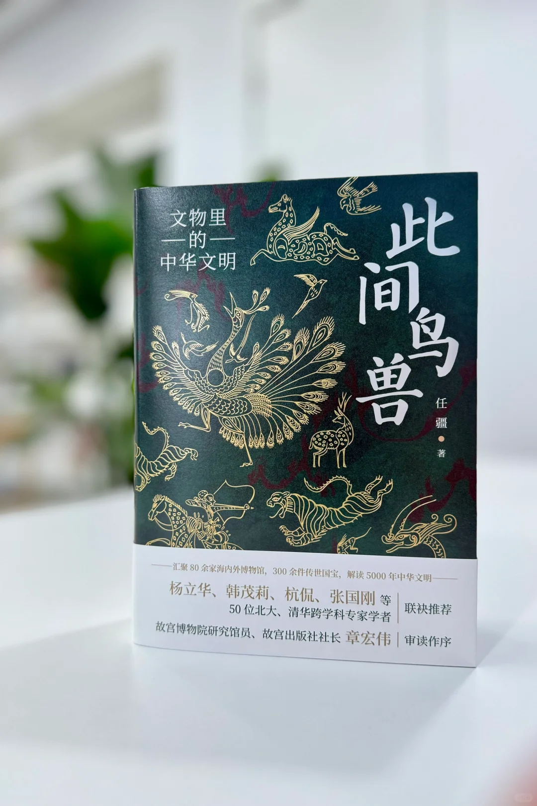 文物上的鸟兽，带你探寻不一样的中华文明