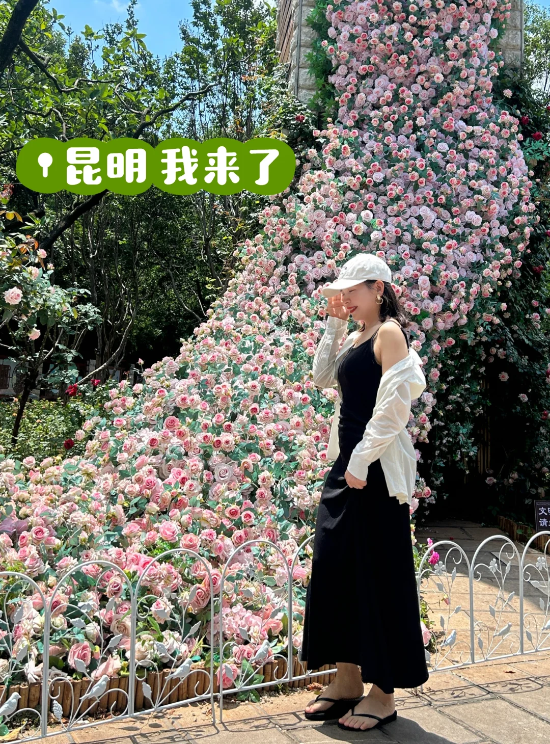 摆摊博主来云南避暑啦～第一站：昆明