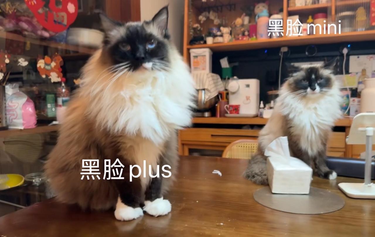 一看就是亲生的！