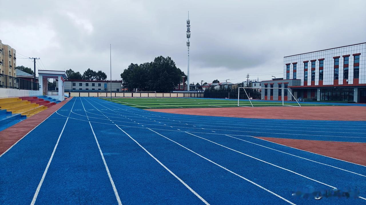 青海日记第十一天——中雨

昨天刚买来自行车，这个雨就从昨晚开始下到了现在，溜溜