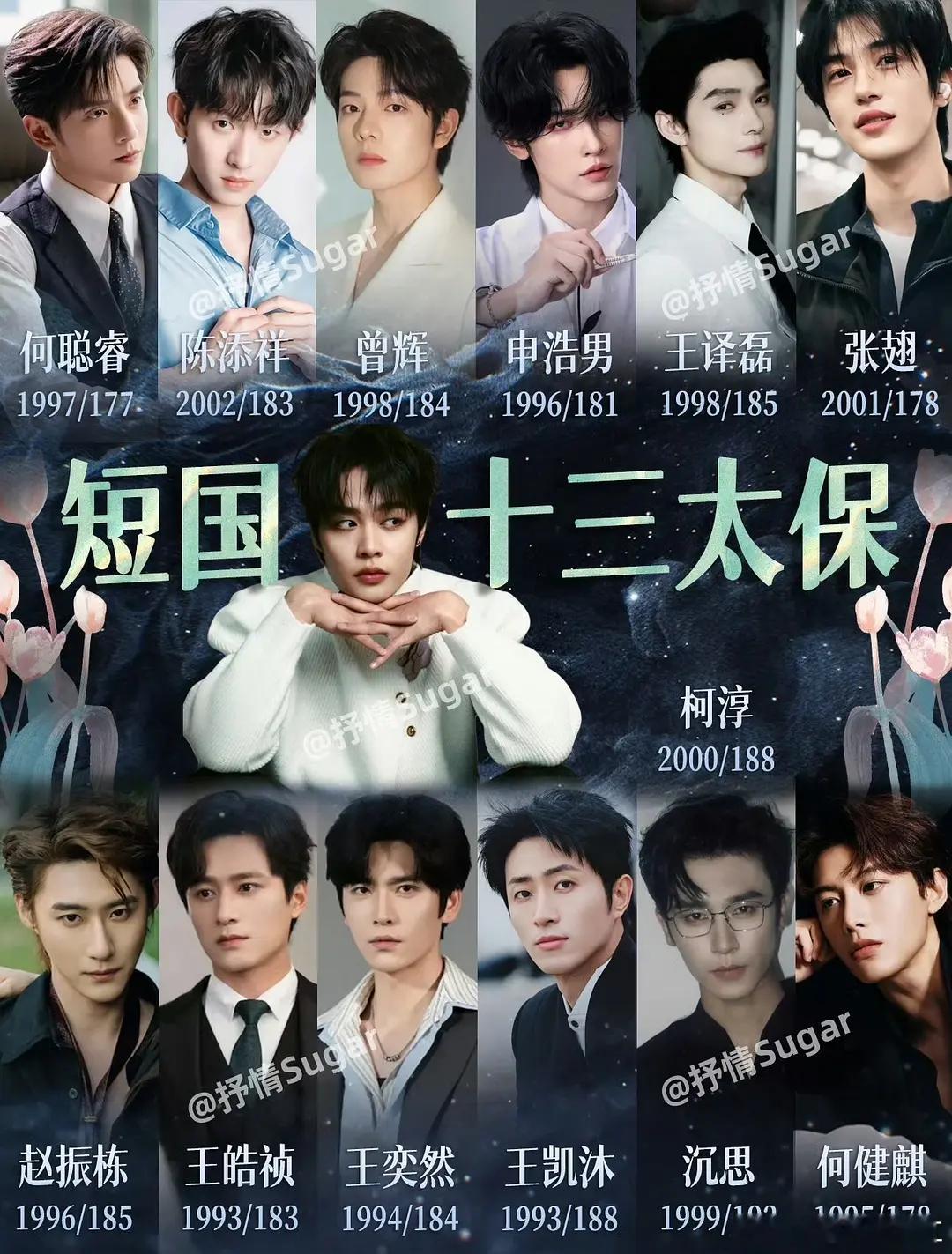 瑞萍短国十三太保男演员，各有各的丑法 ​​​