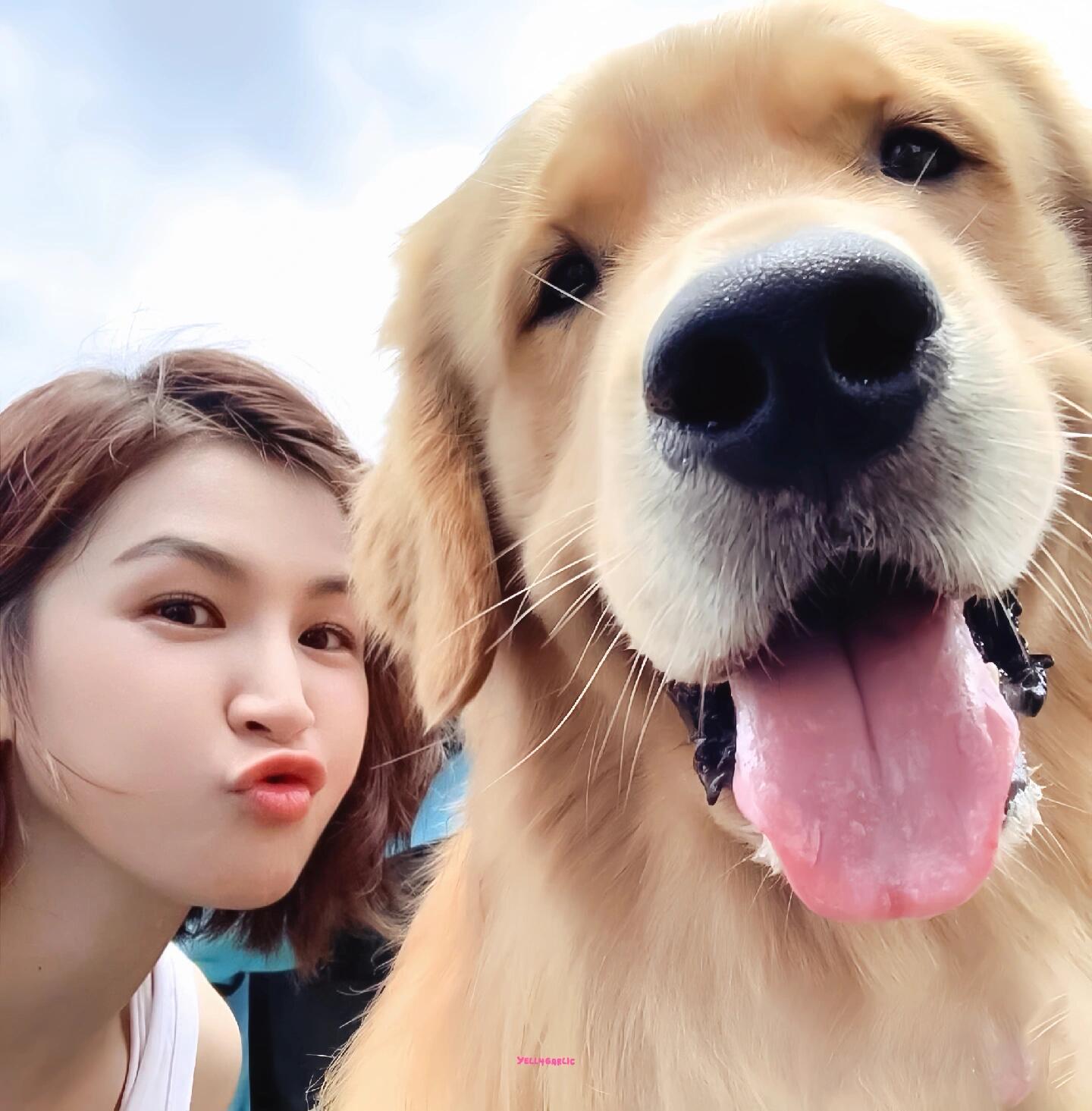 -𝐒𝐇𝐀𝐑𝐄｜曾沛慈头像背景图搭配 ⸝⸝🐕꙳🥨◟🥥。 