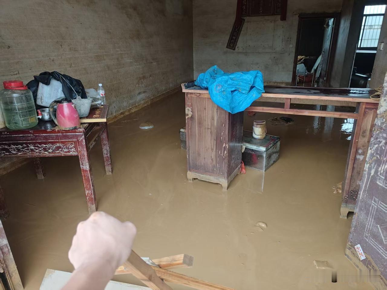 洪水退后，一片狼藉，洪水退后快一个月了，淤泥都还没清理干净，父亲养的十二头牛，也