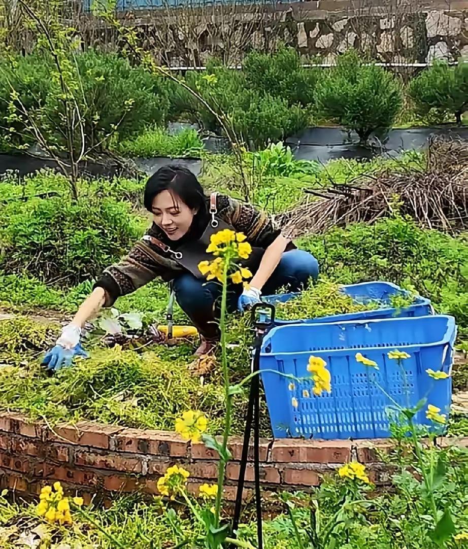 汪涵杨乐乐隐居乡下打造菜园，绿色种养方式太用心
 
汪涵与妻子杨乐乐，低调在长沙