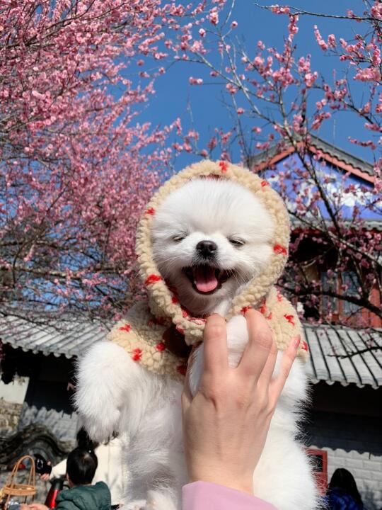 人！一起去约会吧💕