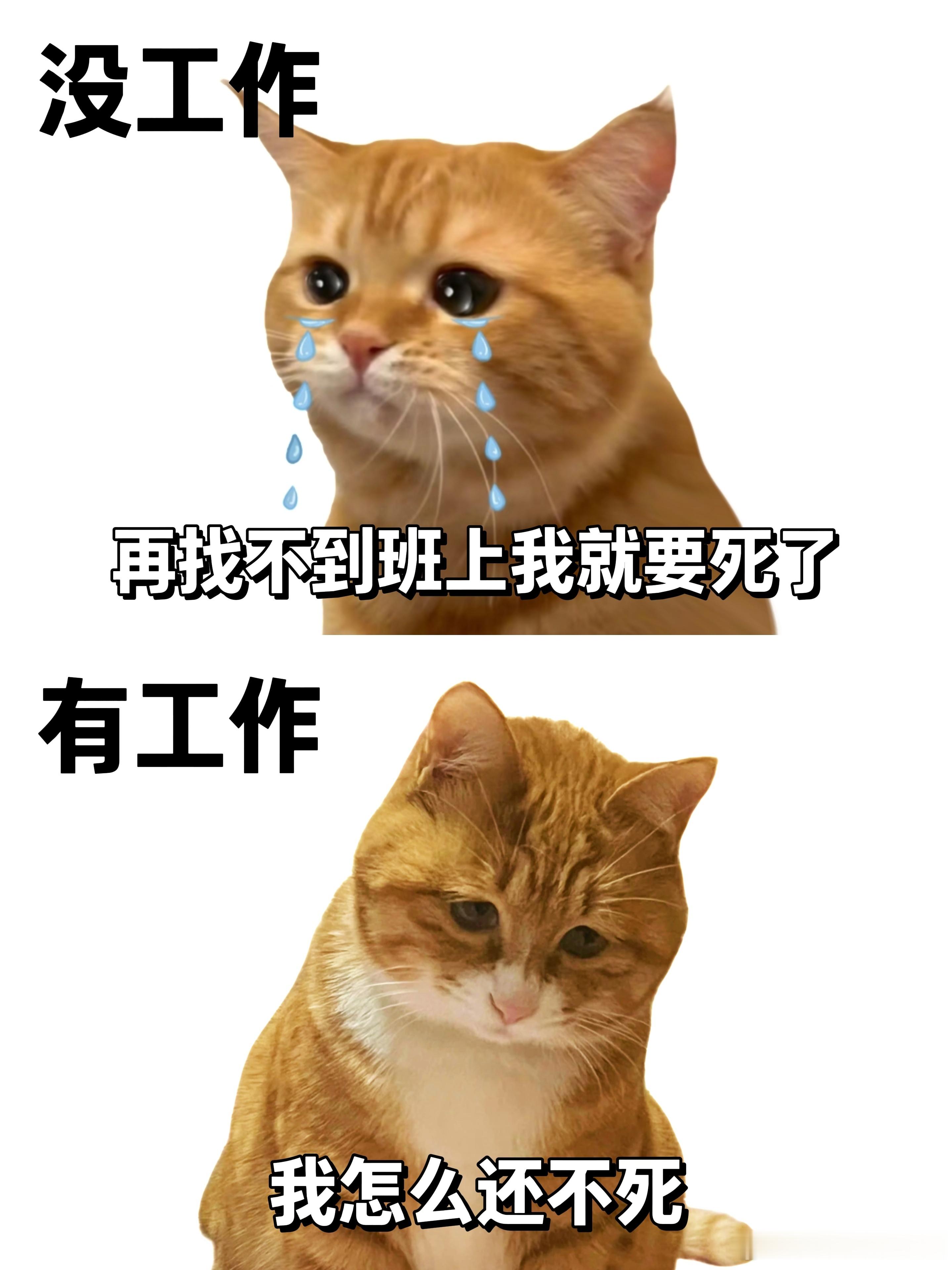 上班前VS上班后 ​​​