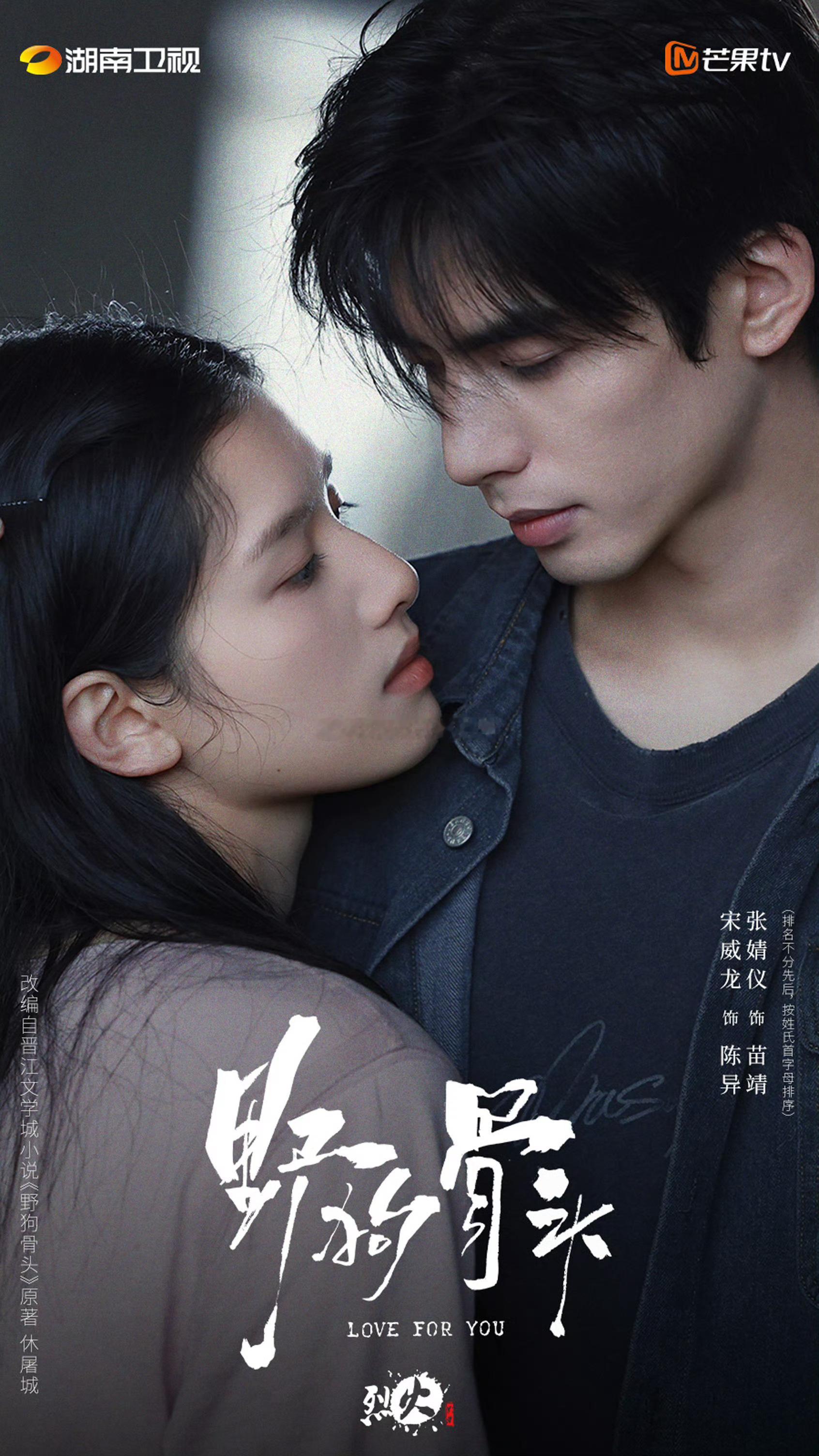 宋威龙 张婧仪野狗骨头过审下证，32集 