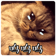 万海死在了最接近真相的那天，我哭了，他不该是这样的结局啊，他本可以见证真相大白，