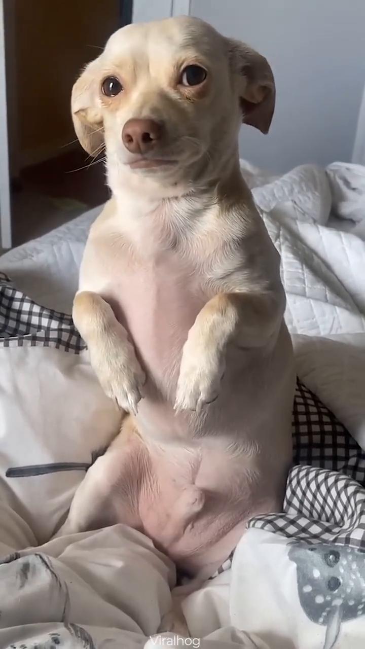 Frankie you can't come...I have to go to