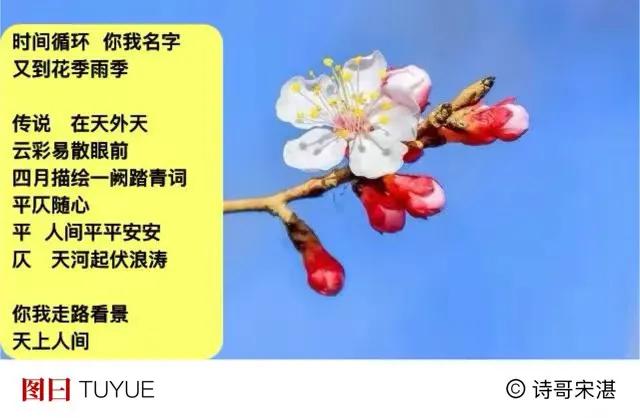 光阴可遣怀，
山水看过来。
开眼着雨色，
放歌散雾霾。
春花照老井，
芳草润灵台