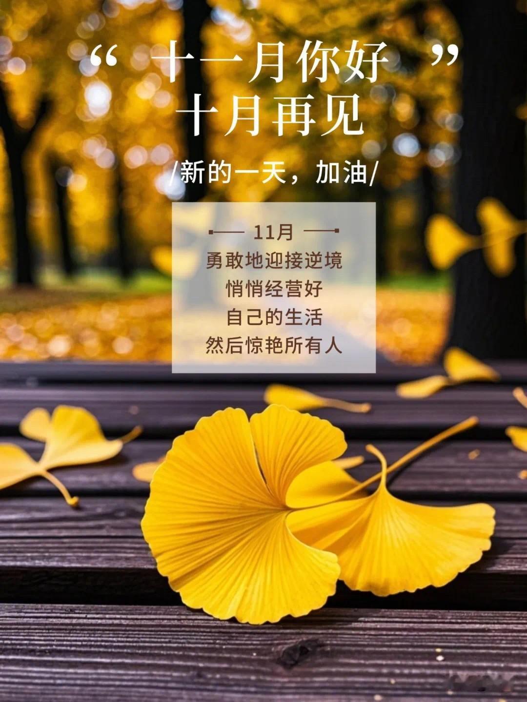 十月再见，十一月你好[玫瑰][玫瑰][玫瑰]
 
时光悄悄往前走，十月马上就要落