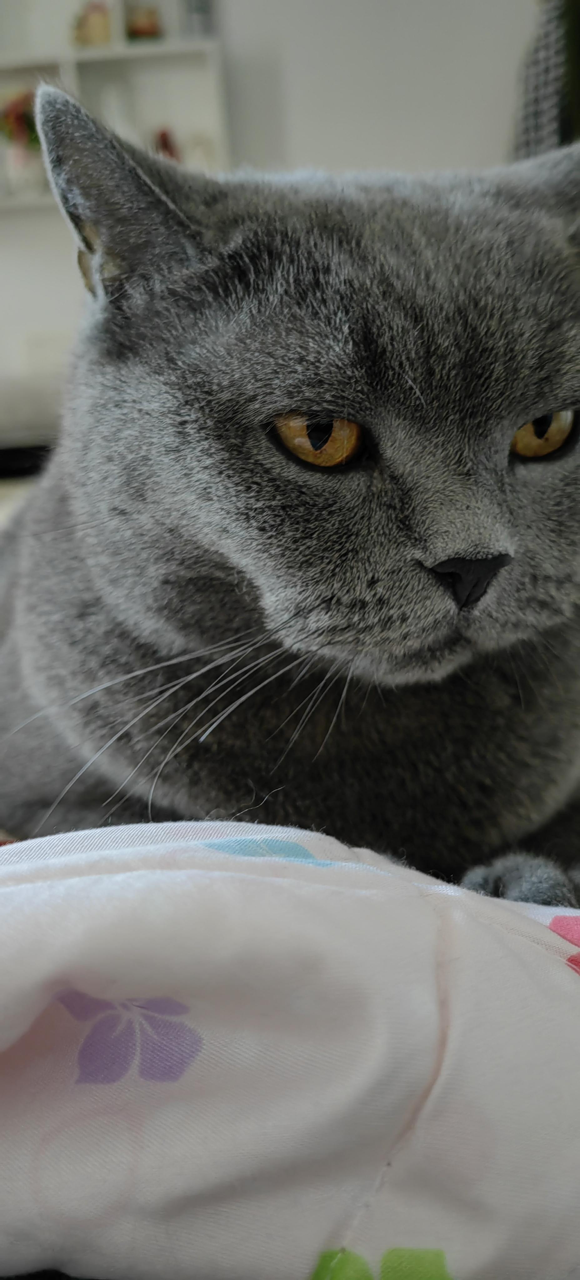 我评论了 的作品: 我家网在客厅能上，到了卧室就不行了，一会能上，一会...