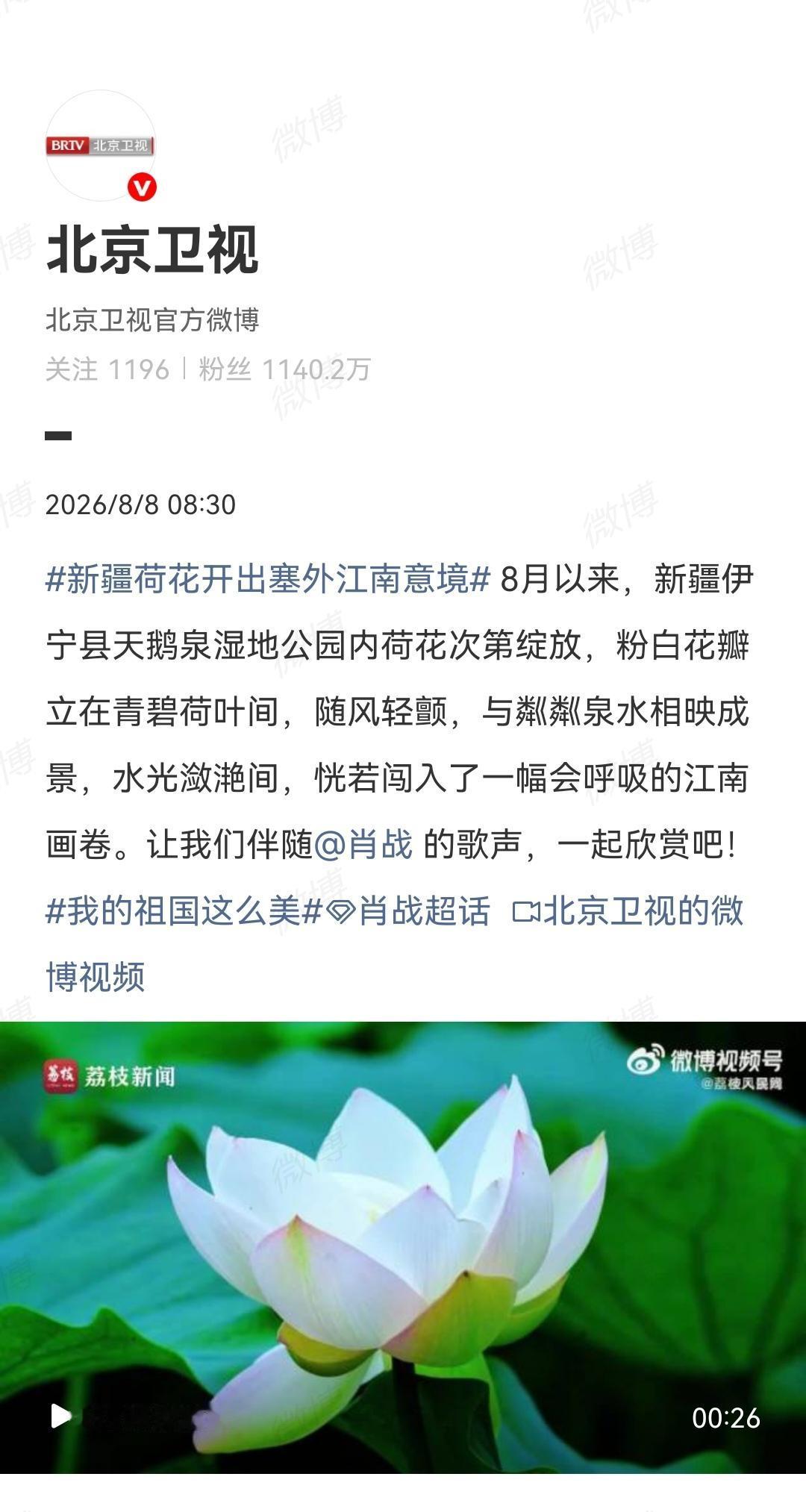 8月8日，北京卫视报道肖战[机智]