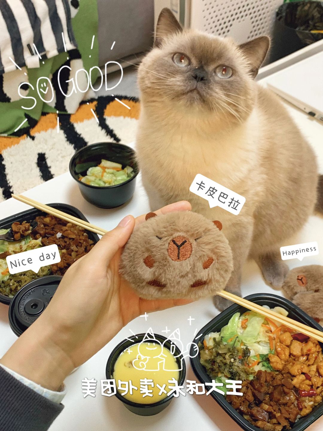 原则上是不让猫咪上饭桌的