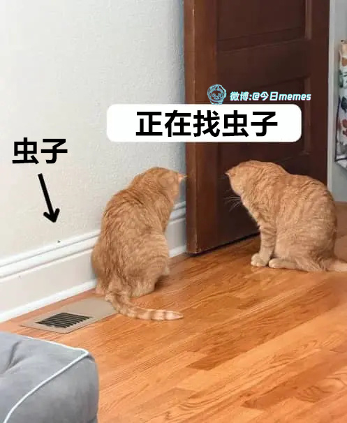 bug（9gag）今日meme[超话] 今日memes ​​​