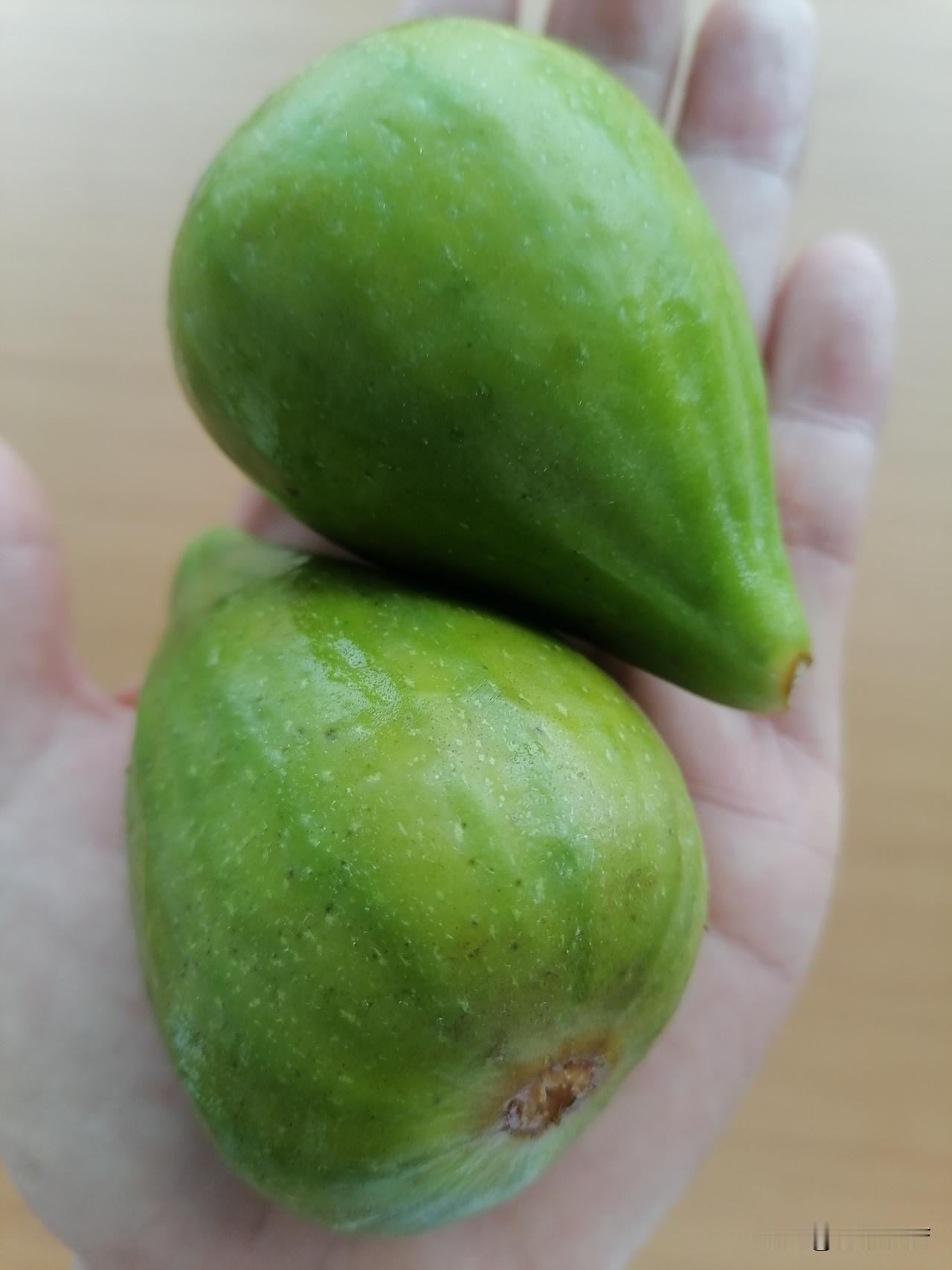 好大的无花果，好宽的公路，好热情的山东老乡！