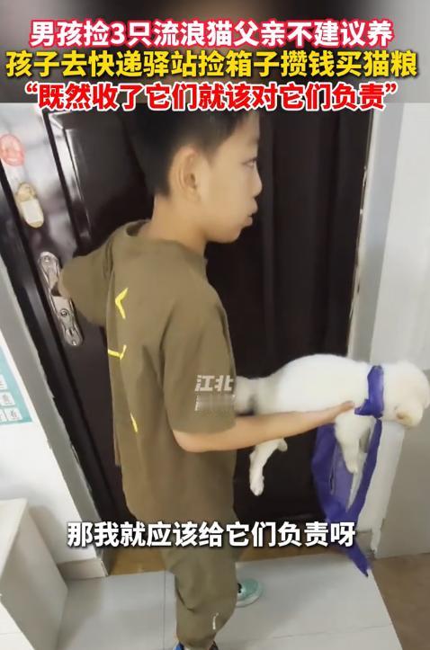 [微风]泪目了！6月26日，河南，一男孩捡了多只流浪猫狗，爸爸不同意他养，于是独