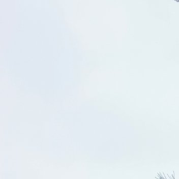 每日一善 🌳阳光信用 🌳每日一善自古人心分善恶，好人自有福来报。做一个简单善