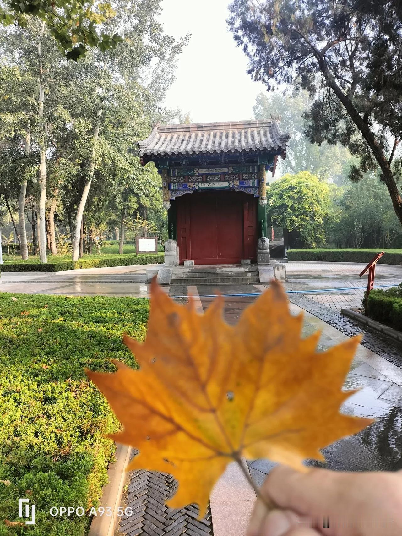大姐说，一块儿上班的同事今年62，得了胃癌，今天去看他，瘦的脱相，牙都掉了。
