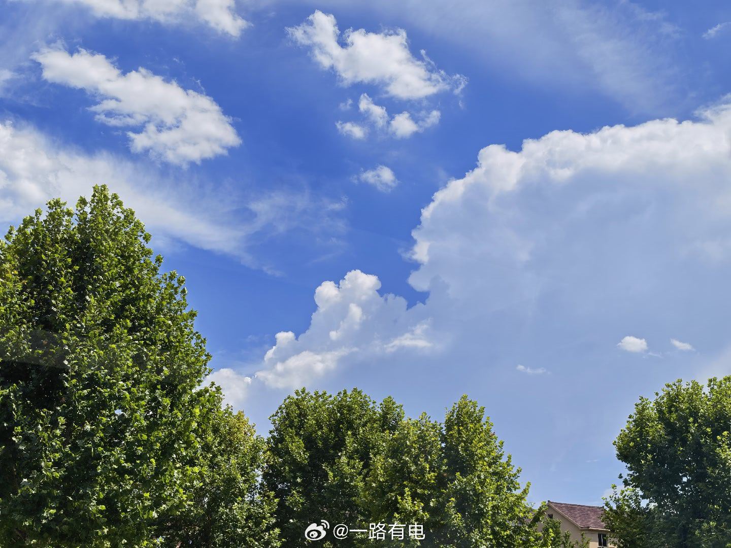 今天天气真好，开车出门溜达一下，放空自己~ 