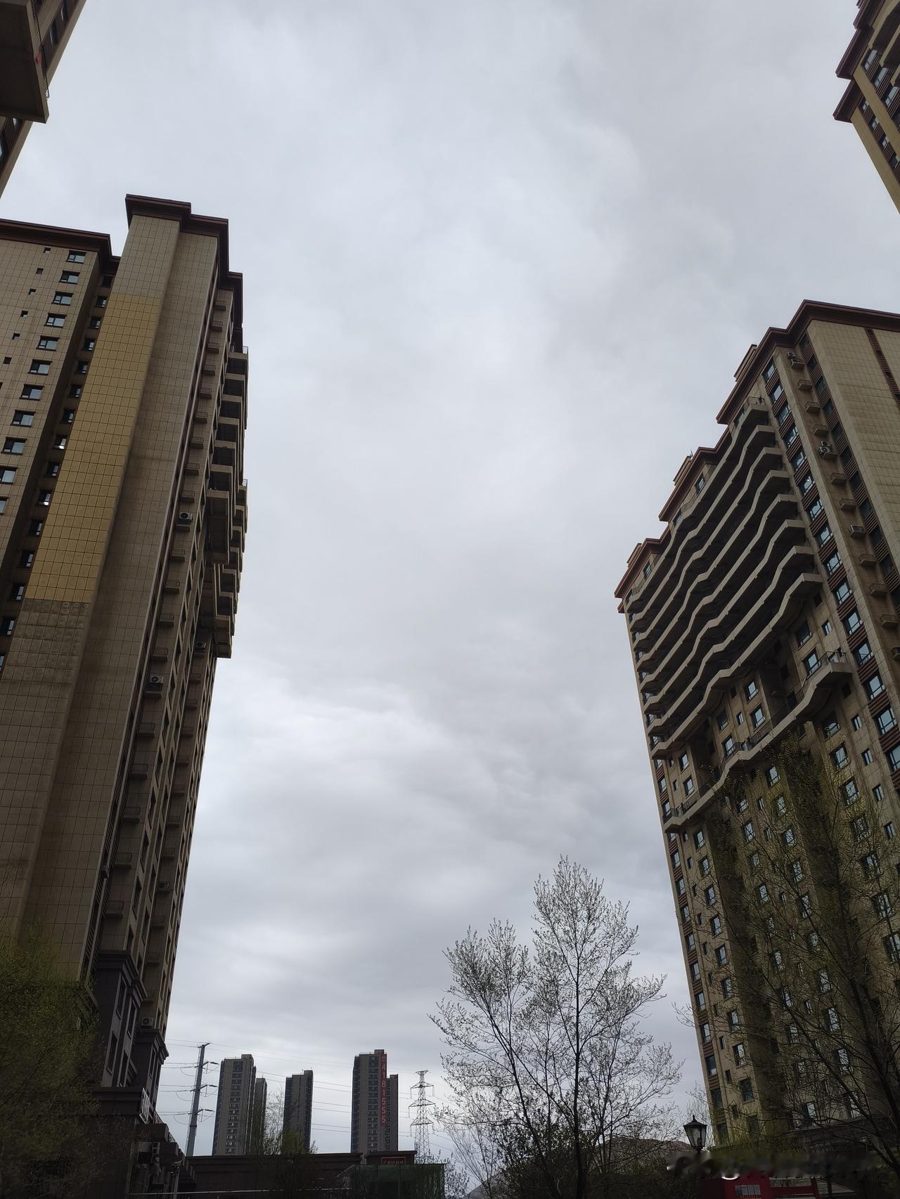 我是乌鲁木齐人，73年属牛的，今年53岁。

前天（15号），是租客小陈给我交房