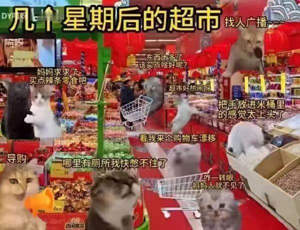 目前来说唯一一个年味十足的地方#meme# ​​​