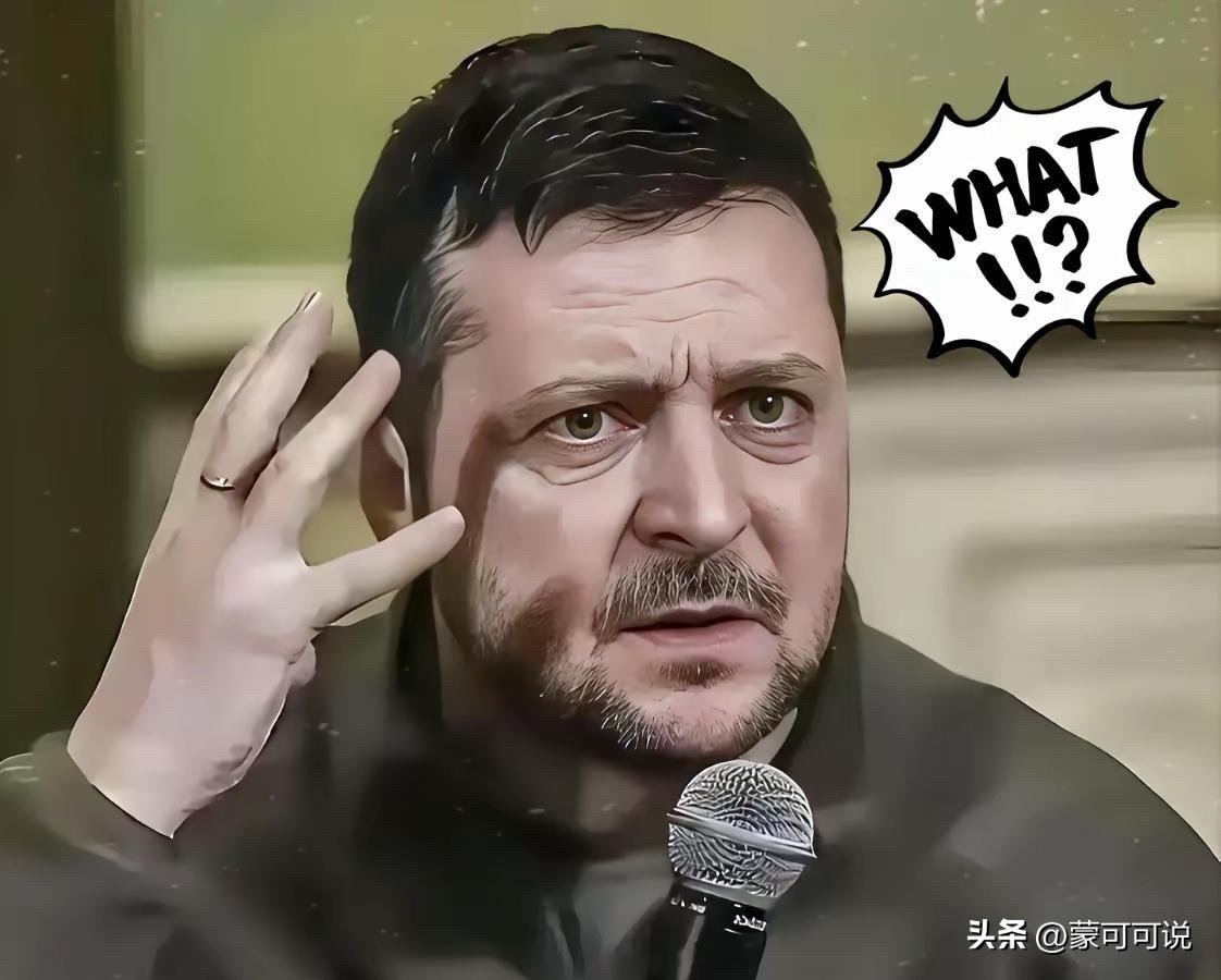 乌克兰最新消息！
乌克兰正式宣布了
2025年12月9日，乌克兰方面宣称泽连斯基