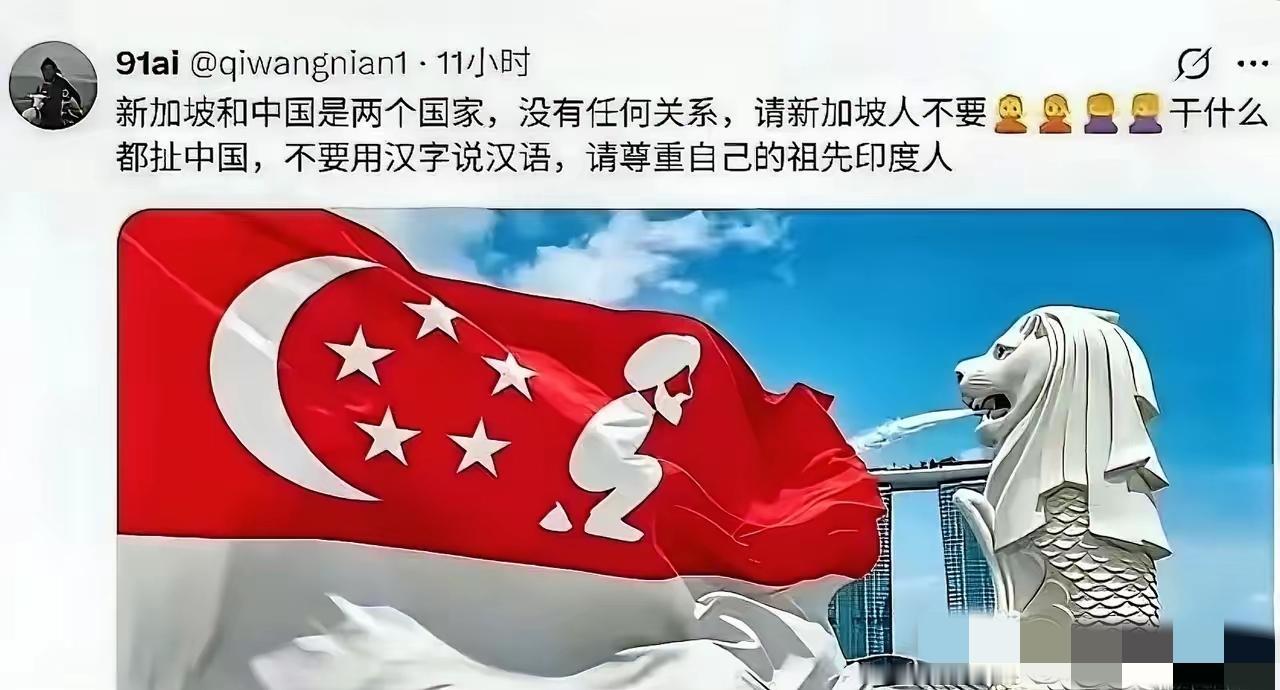如果说有什么能让“精致和谐”的狮城一夜沸点，那非一张魔改国旗莫属。

2026年