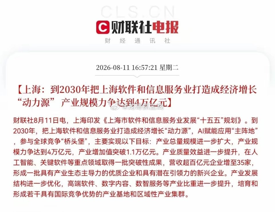上海牛逼了，又放大招，国产软件预计要疯狂了吧上海刚刚出台了《上海市软件和信息服务